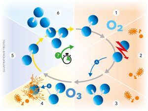 ضدعفونی کردن با ازن